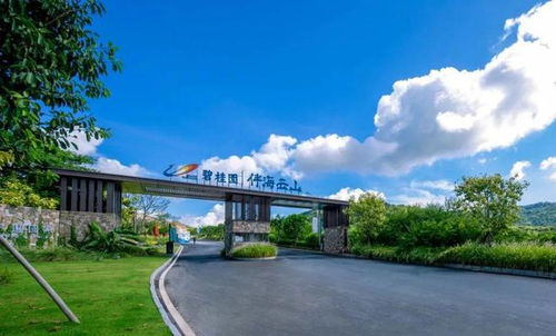 碧桂園伴海云山戶型好不好,帶不帶裝修,價格怎么樣 有什么利好